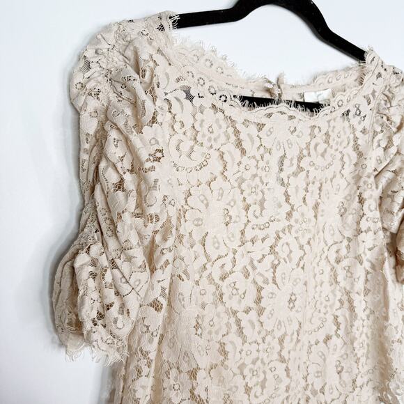 Joie XSmall XS Cream Mushroom Fanny Sheer Lace Top Ruched Sleeves Keyhole Back - Picture 4 of 9